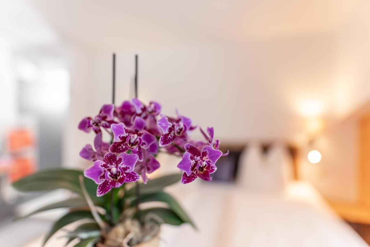 Aparthotel Wellnesshaus Reichelt Radstadt Exteriér fotografie