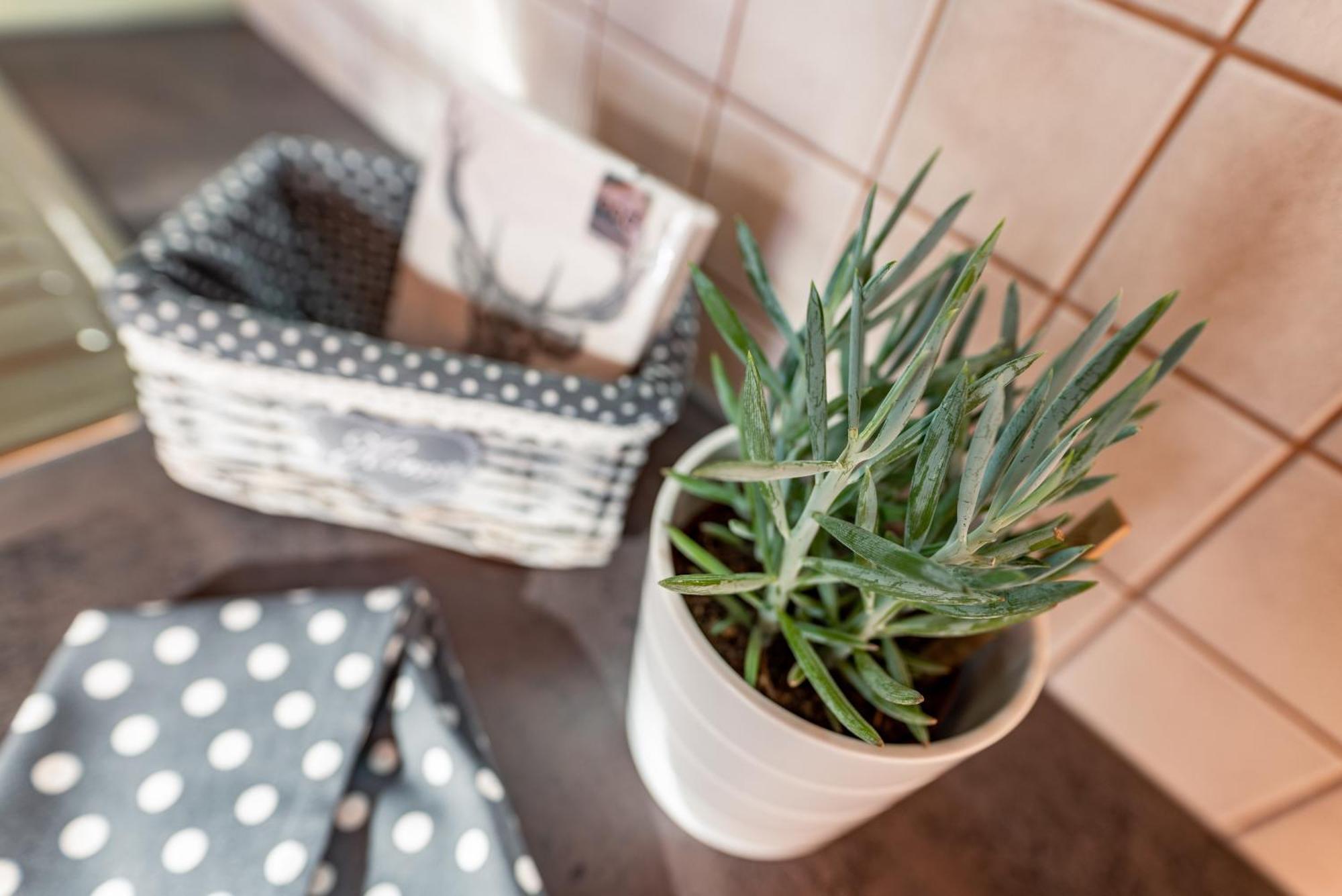 Aparthotel Wellnesshaus Reichelt Radstadt Pokoj fotografie